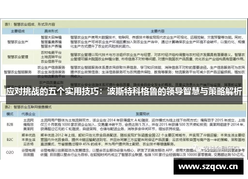 应对挑战的五个实用技巧:波斯特科格鲁的领导智慧与策略解析 应对挑战的五个实用技巧:波斯特科格鲁的领导智慧与策略解析