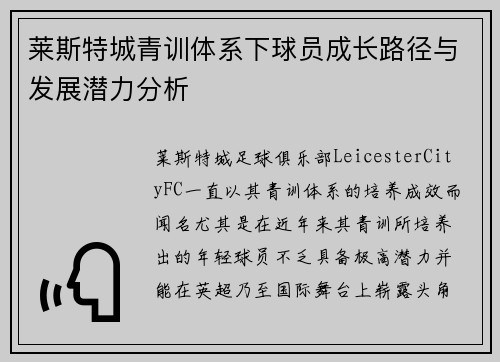 莱斯特城青训体系下球员成长路径与发展潜力分析 莱斯特城青训体系下球员成长路径与发展潜力分析