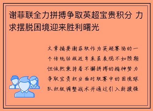 谢菲联全力拼搏争取英超宝贵积分 力求摆脱困境迎来胜利曙光