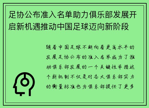 足协公布准入名单助力俱乐部发展开启新机遇推动中国足球迈向新阶段
